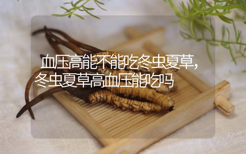 血壓高能不能吃冬蟲夏草，冬蟲夏草高血壓能吃嗎？