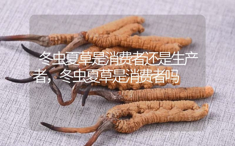 貧血吃冬蟲夏草有效果嗎，貧血虛弱者可以用冬蟲夏草嗎？