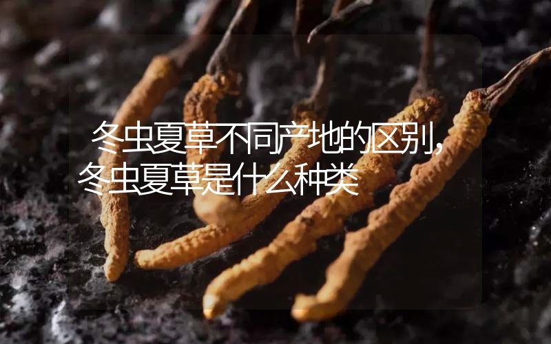 冬蟲(chóng)夏草不同產(chǎn)地的區(qū)別，冬蟲(chóng)夏草是什么種類(lèi)