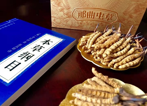 冬蟲夏草真就那么好嗎？它的主要功能是什么呀