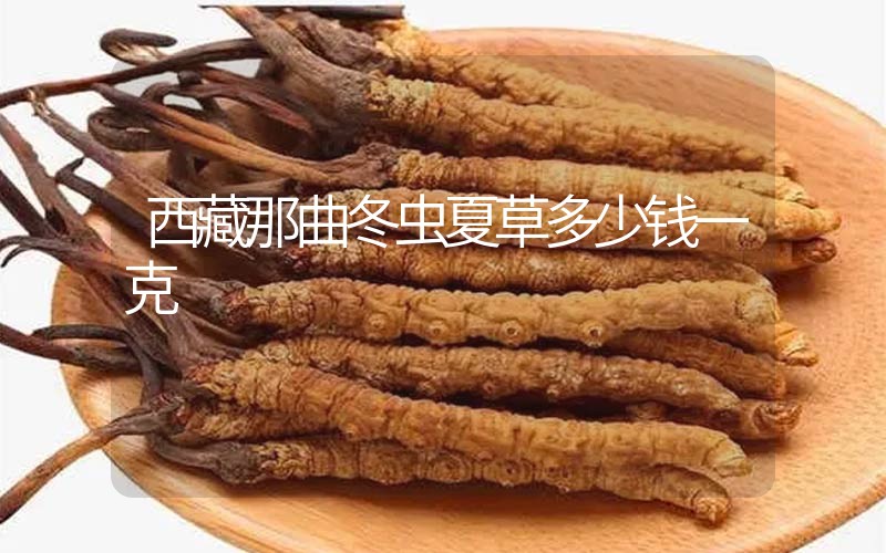 西藏那曲冬蟲夏草多少錢一克？