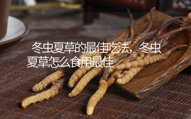 冬蟲夏草的最佳吃法，冬蟲夏草怎么食用最佳