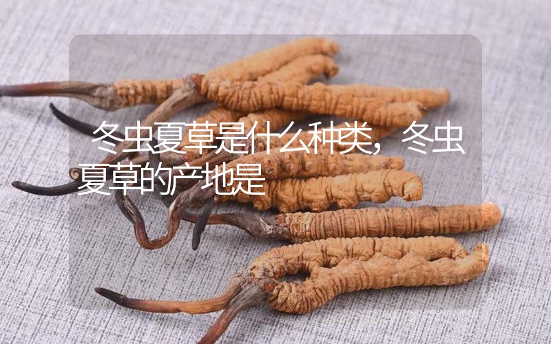冬蟲(chóng)夏草是什么種類(lèi)，冬蟲(chóng)夏草的產(chǎn)地是