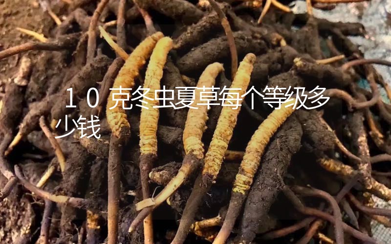 10克冬蟲夏草每個(gè)等級(jí)多少錢？