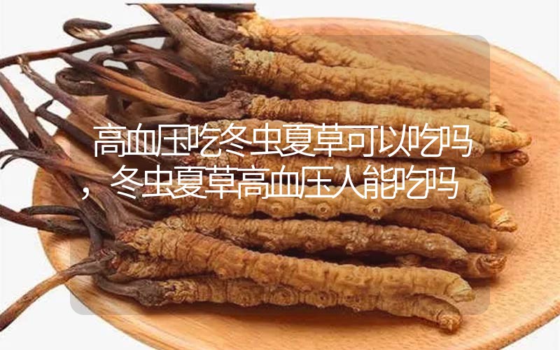 高血壓吃冬蟲夏草可以吃嗎？冬蟲夏草高血壓人能吃嗎？