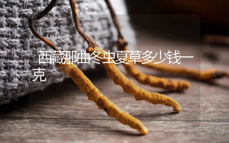 西藏那曲冬蟲夏草多少錢一克？