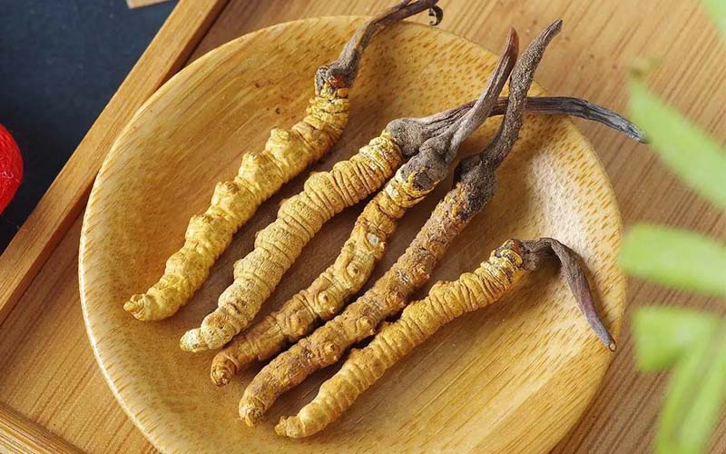 冬蟲(chóng)夏草作用可以調(diào)節(jié)身體肝臟功能嗎？