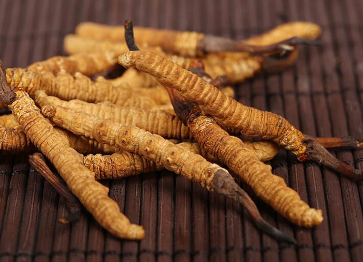 什么樣的冬蟲(chóng)夏草算是優(yōu)質(zhì)的？
