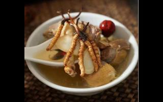 冬蟲夏草怎么煲湯？