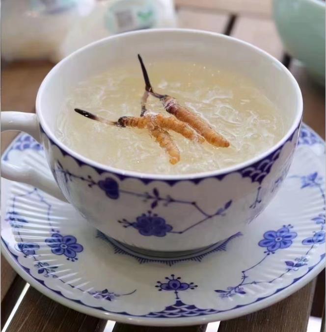養(yǎng)生小竅門(mén)：冬蟲(chóng)夏草燉什么好喝？