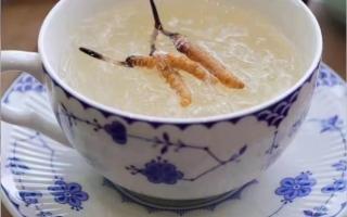 端午節(jié)應該怎么吃冬蟲夏草？