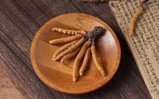 怎么分辨哪些冬蟲(chóng)夏草是面粉做的？