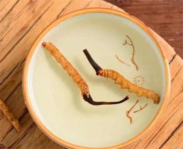 冬蟲(chóng)夏草可以泡水喝嗎？冬蟲(chóng)夏草泡水的步驟