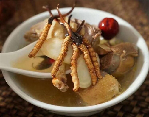 小孩子可以吃冬蟲夏草嗎？