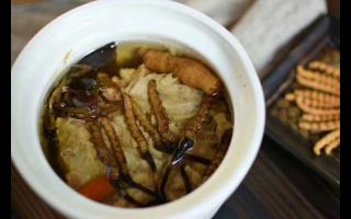 冬蟲夏草怎么食用？解鎖滋補(bǔ)養(yǎng)生的正確打開方式