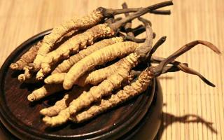 冬蟲夏草的價格一克：為何如此昂貴？