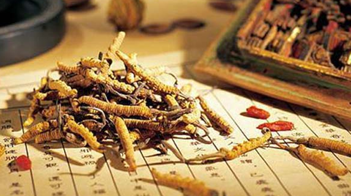 同仁堂健康冬蟲夏草：傳承品質(zhì)，饋贈健康