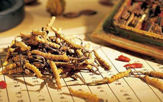 同仁堂健康冬蟲(chóng)夏草：傳承品質(zhì)，饋贈(zèng)健康