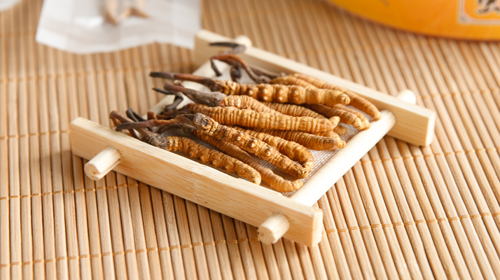 冬蟲夏草一般多少錢一斤？價(jià)格背后的價(jià)值解析