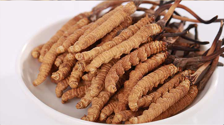 冬蟲夏草燉水鴨，搭配這些食材更滋補(bǔ)