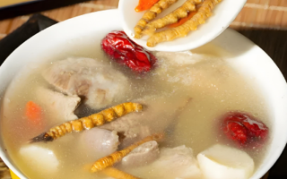 老人可以喝冬蟲夏草茶嗎？科學飲用的養(yǎng)生指南