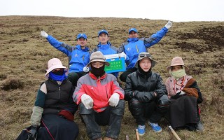 西藏冬蟲夏草的主要產(chǎn)地：品質與地域特色詳解