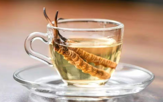 一瓶酒泡多少冬蟲夏草?科學搭配有講究