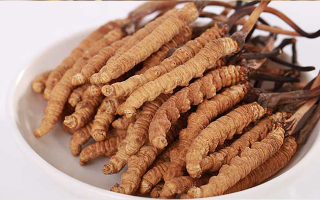 冬蟲夏草一公斤多少錢？多因素交織下的價(jià)格密碼