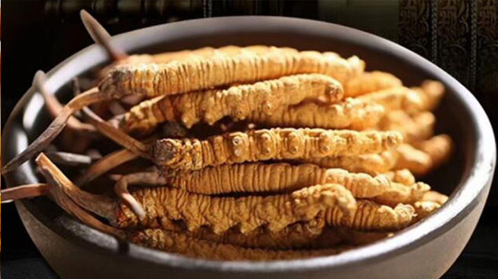 冬蟲夏草效果好不好用？科學(xué)與實(shí)踐視角下的全面解析