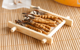 冬蟲夏草怎么燉比較好？解鎖營養(yǎng)不流失的燉煮指南