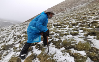 西藏挖冬蟲夏草在什么時候？產(chǎn)區(qū)與時間全攻略