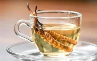十根冬蟲夏草泡多少酒？科學配比與實操指南