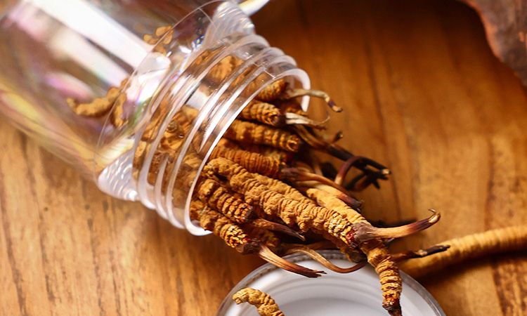 <a href=http://www.sdzhinong.com/jiage/ target=_blank class=infotextkey>冬蟲夏草多少錢</a>一條 