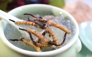 十根冬蟲夏草能泡幾斤酒？泡酒比例與細(xì)節(jié)指南