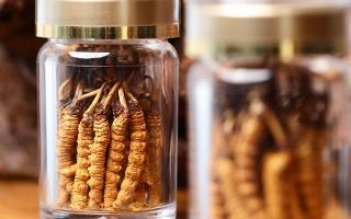 送冬蟲(chóng)夏草給男孩子好嗎?分場(chǎng)景分析 + 送禮建議