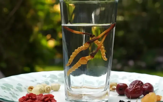 人參配蟲(chóng)草泡酒，泡多久才好喝？咱跟你說(shuō)實(shí)在的