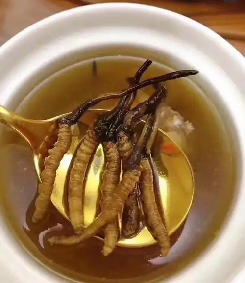 冰糖燉冬蟲(chóng)夏草的做法，有什么功效?