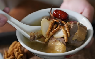 冬蟲(chóng)夏草和什么一起燉可以治咳嗽？