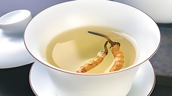 鮮冬蟲(chóng)夏草可以煮水喝嗎？有什么功效和作用？