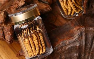 冬蟲夏草養(yǎng)生指南：分清滋補(bǔ)功效，避開養(yǎng)生誤區(qū)