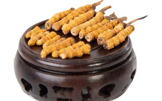 冬蟲夏草的頭期斷草好嗎？有沒有營養(yǎng)價值？