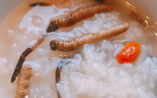 東強(qiáng)堂科普：冬蟲夏草煮粥的步驟