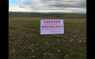 高原之上，蟲草共生；守護(hù)生態(tài)，東強(qiáng)堂與你同行