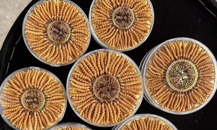 100塊錢(qián)一盒冬蟲(chóng)夏草能買(mǎi)嗎 