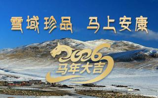 雪域高原藏珍品，2026愿您馬上安康——來自西藏那曲蟲草網(wǎng)的新春祝福