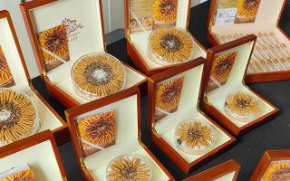 2026年西藏那曲新鮮冬蟲夏草正品價格詳解